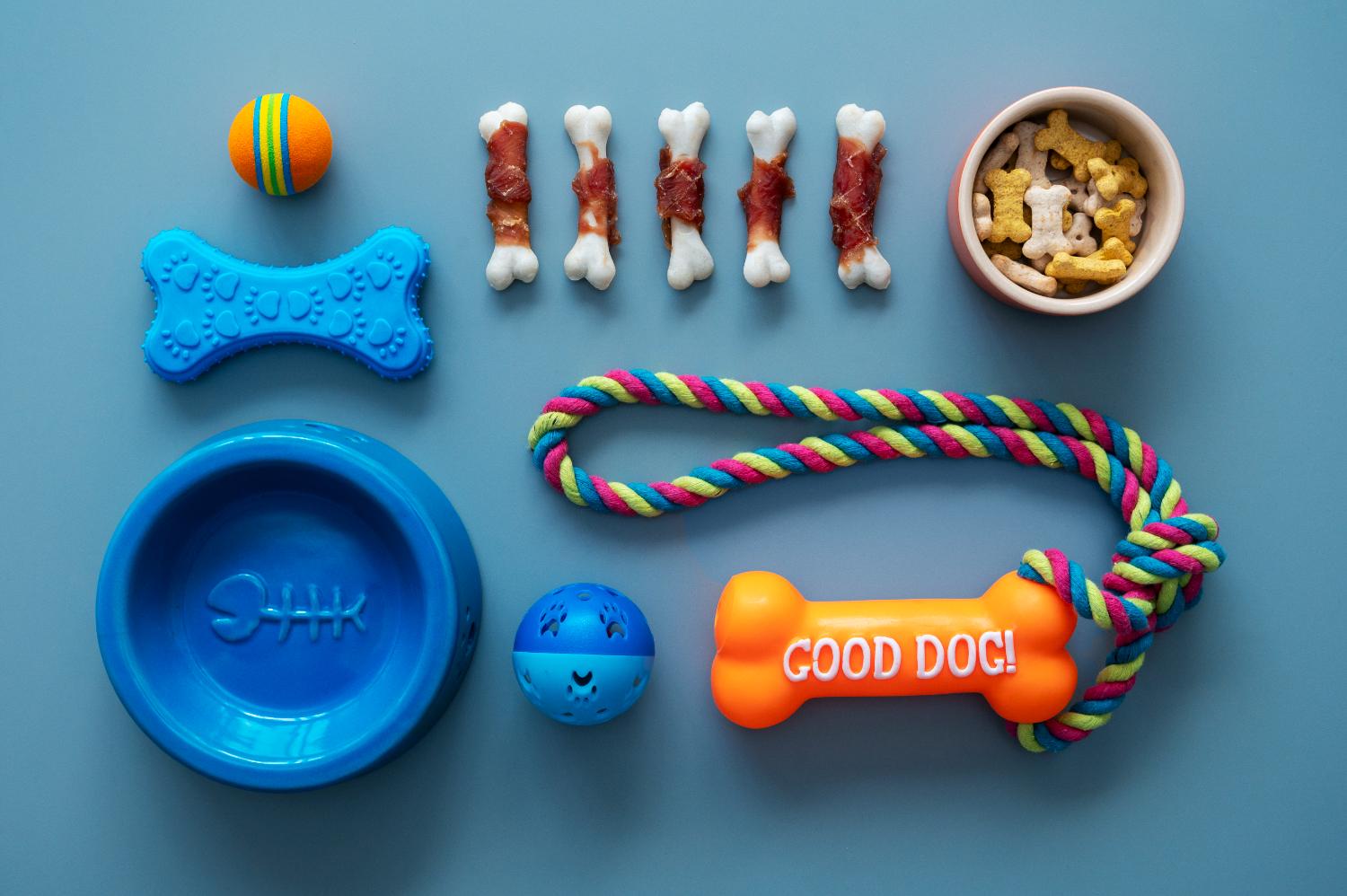 Innovative Toys and Equipment for Animals